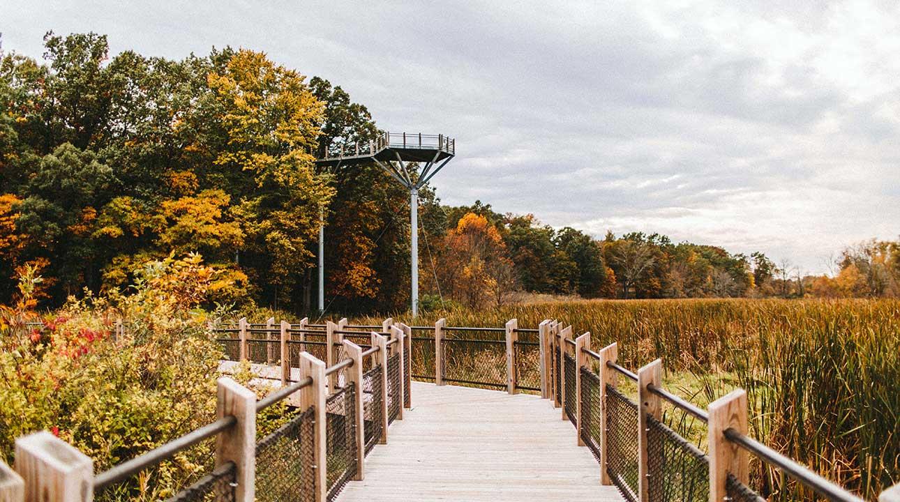 Boardwalk in the Fall