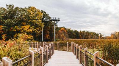 Boardwalk in the Fall