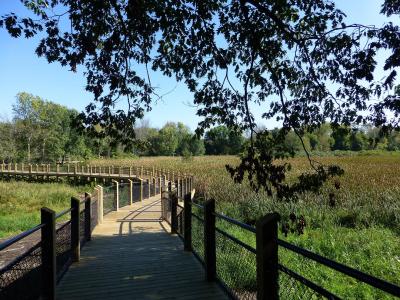 Boardwalk