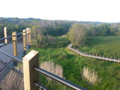 View from marsh tower