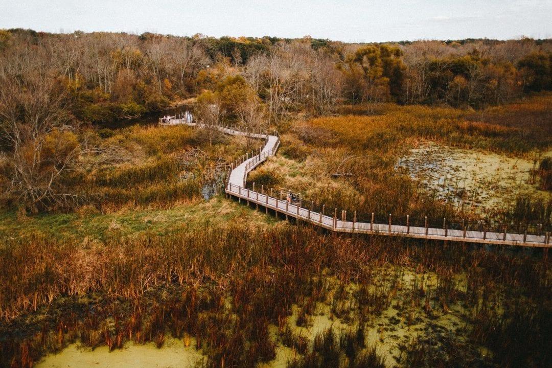 Boardwalk in the Fall