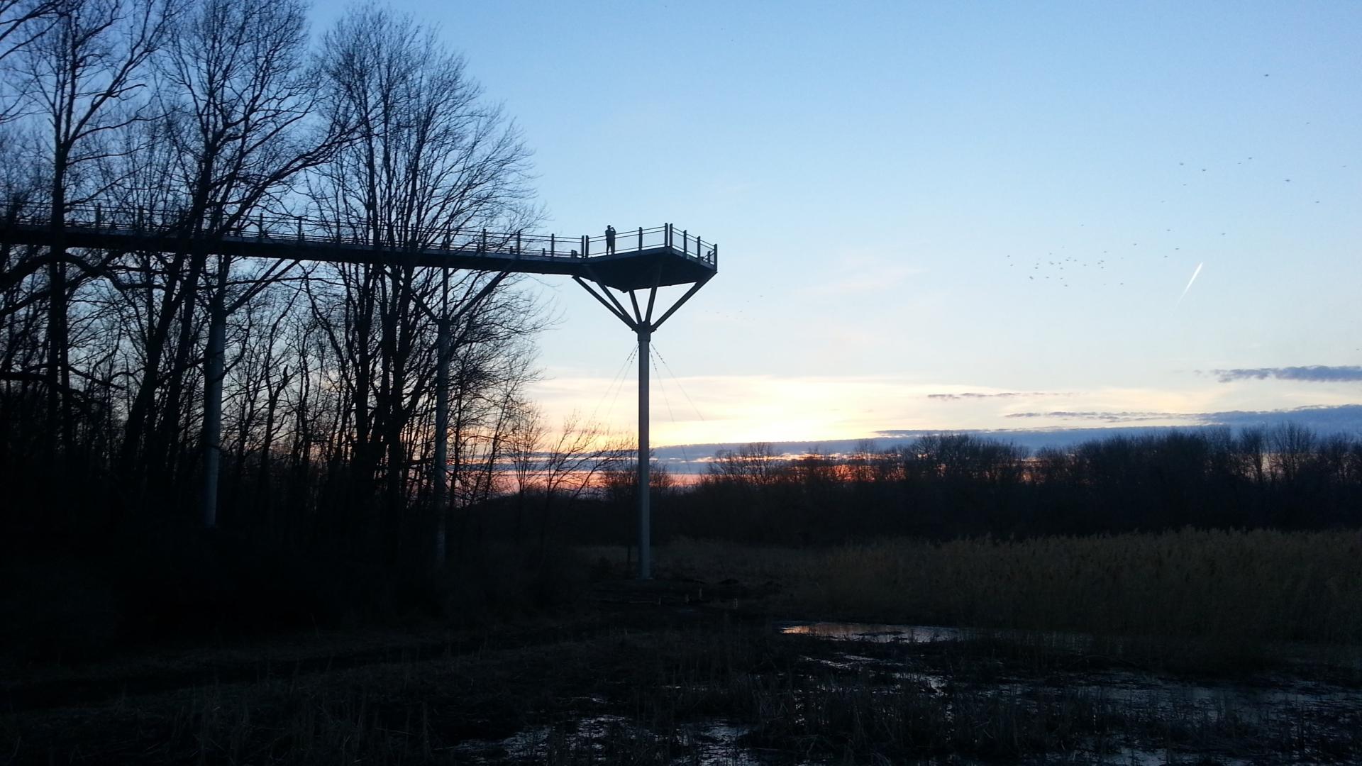 View from below of deck
