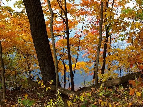 Fall at Madeline Bertrand