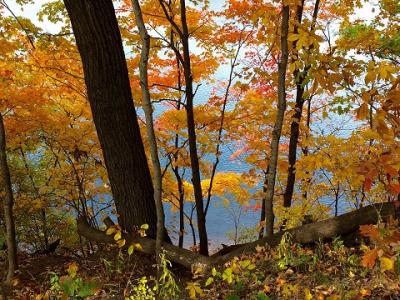 Fall at Madeline Bertrand