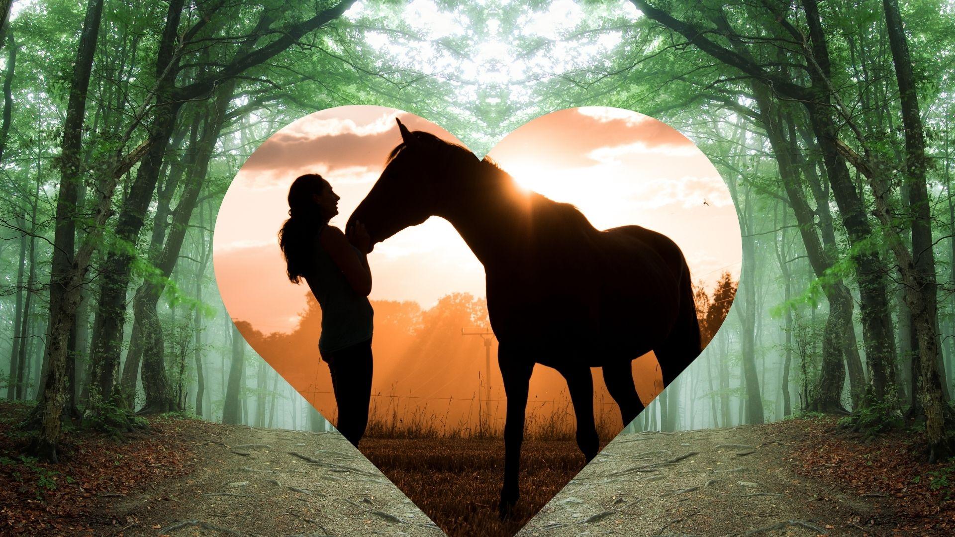 Forest Bathing with Horses at Forest Meadow Ranch - enjoy the peaceful nature of these majestic beings💚