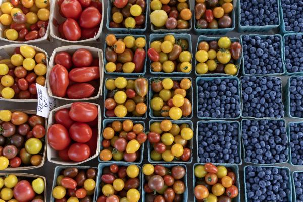 2026 St. Joe Farmers Market logo