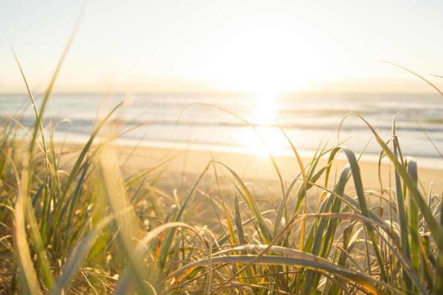 2022 SUMMER BUCKET LIST