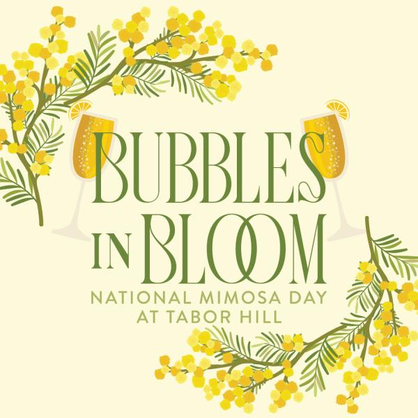 Bubbles in Bloom