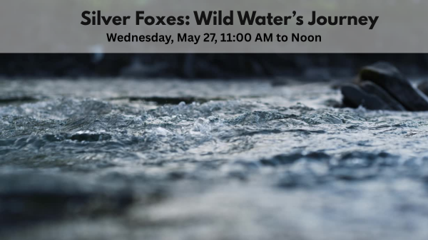 Wild Water's Journey