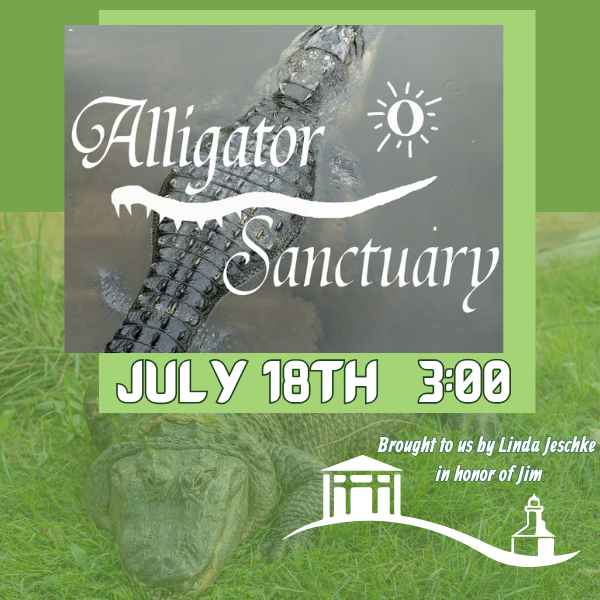 Alligator Sanctuary