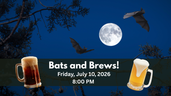 bats and brews