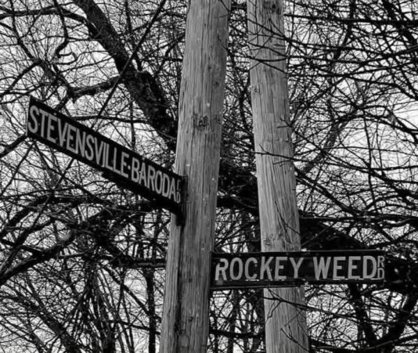 Rockey Weed Band
