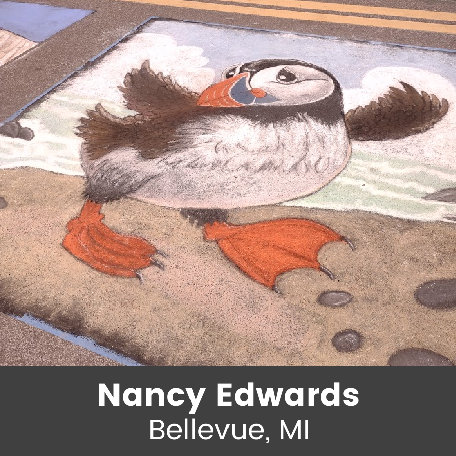Chalk drawing of bird