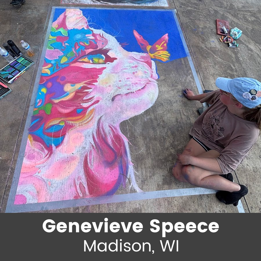 Chalk art piece - colorful pink cat