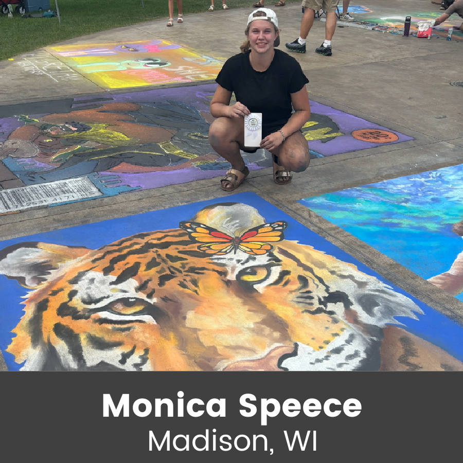 Chalk art piece - tiger