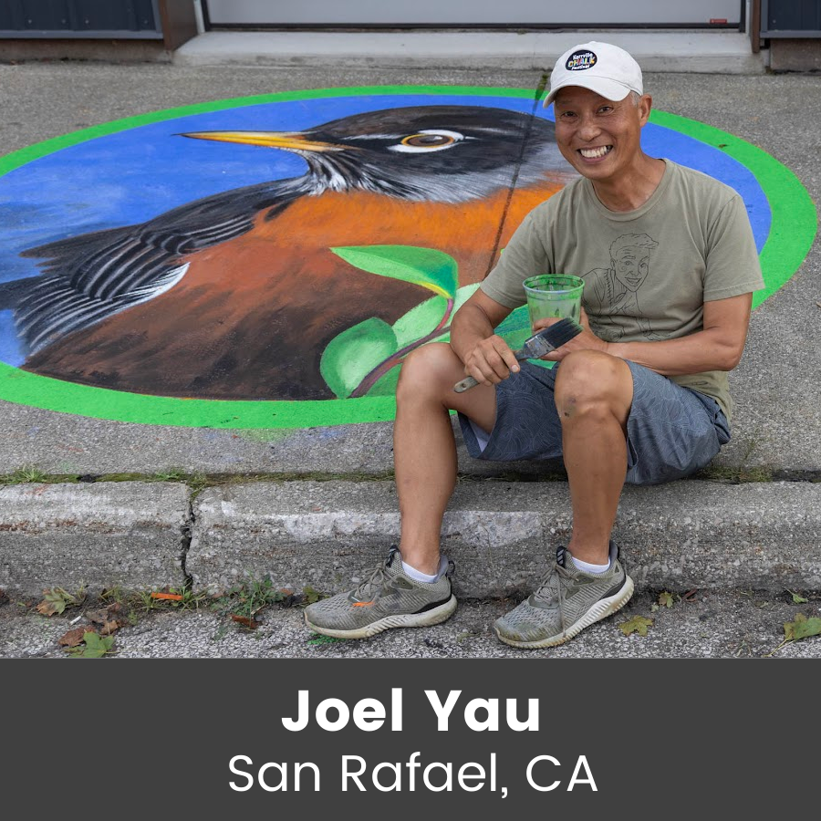 Chalk art piece - robin