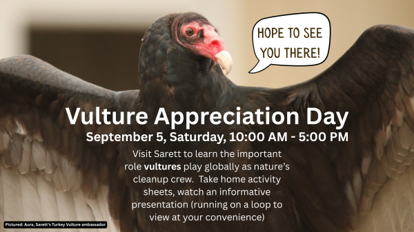 Vulture