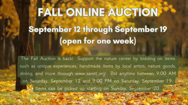 Online Auction