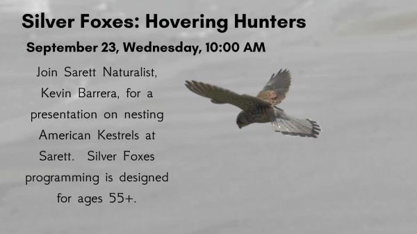Hovering Hunters
