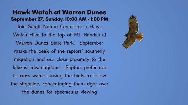 Hawk Watch