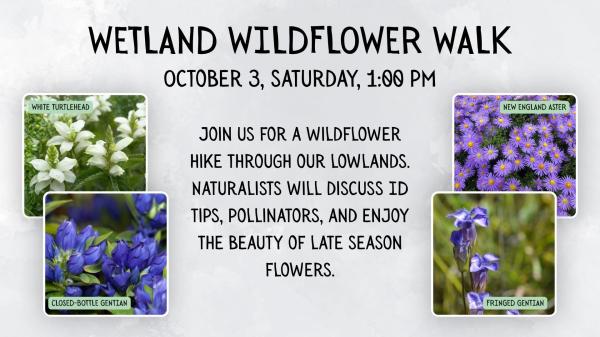 Wildflower Walk