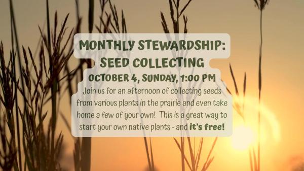 Seed Collecting