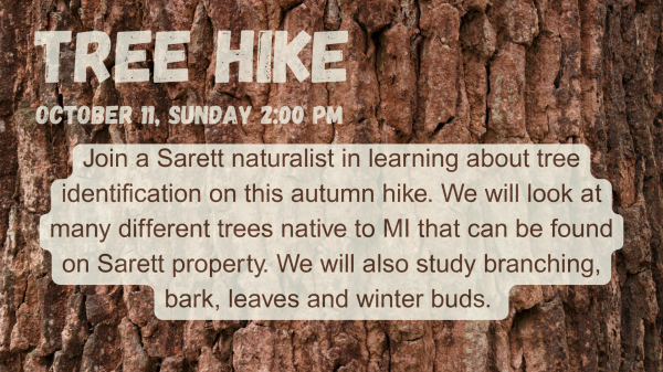 Tree Hike