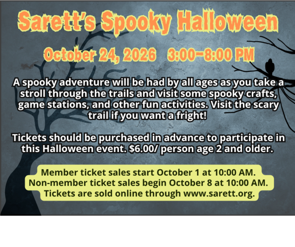 Halloween at sarett