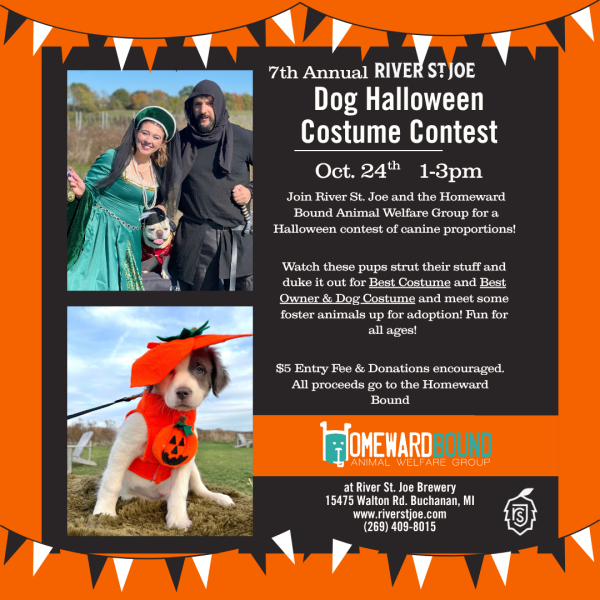Dog Costume Contest