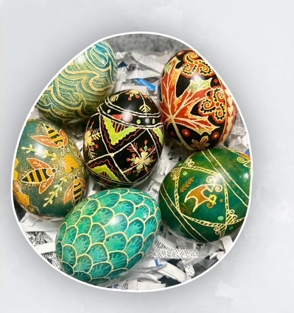 Egg Class