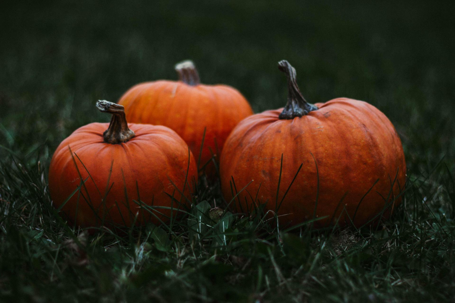 Three Orange Pumpkins
